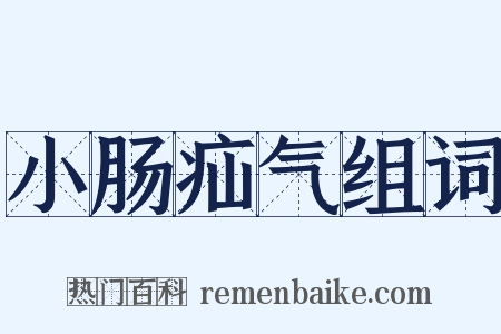 小肠疝气组词是什么意思的图片
